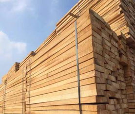 楊木板無節楊木板工廠批發