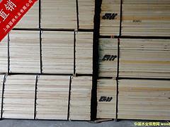 黑胡桃防腐木廠家|在哪能買到質量一流的黑胡桃呢圖片|黑胡桃防腐木廠家|在哪能買到質量一流的黑胡桃呢產品圖片由上海園洲木業公司生產提供-