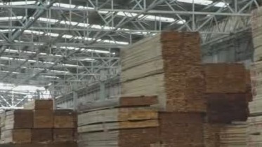 園林木業(yè)城整合中小企業(yè) 正在推動林業(yè)國際化進(jìn)程