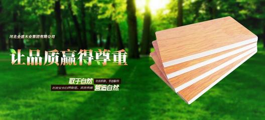 好消息!蘇木匠榮膺&ldquo;生態板十佳優質供應商&rdquo;