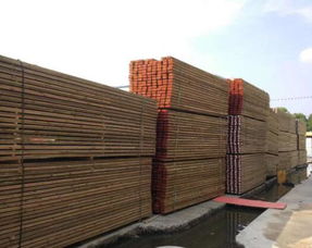 優質的芬蘭松防腐木推薦 玉林芬蘭松木