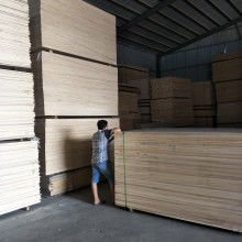楊木板材價格 楊木板材公司 圖片 視頻