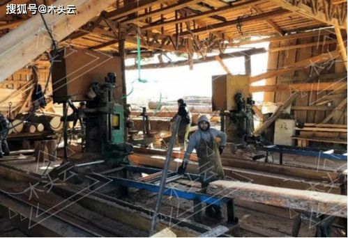 木屑產業成俄羅斯投資新貴