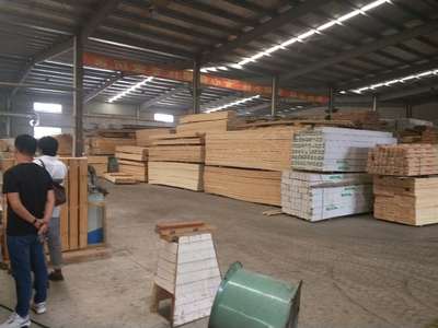 安徽紅雪松工廠 上海熙享木業