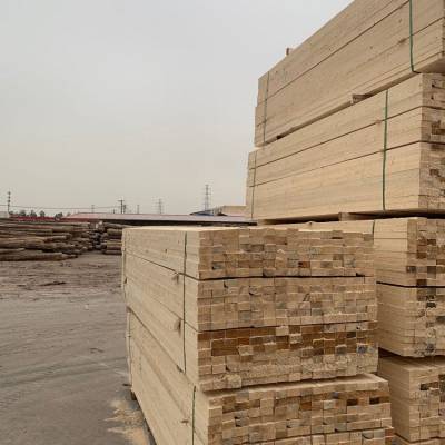 天津廊坊樟子松木方批發與木材加工專家——中騰木業