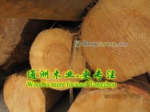 通洲木業(yè) 專業(yè)鐵杉木材加工，打造高品質(zhì)建筑木方