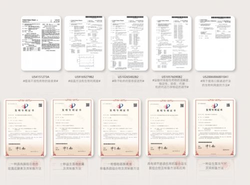 斬獲毫蕪園區戰略投資,bfb集團擎畫健康產業新藍圖